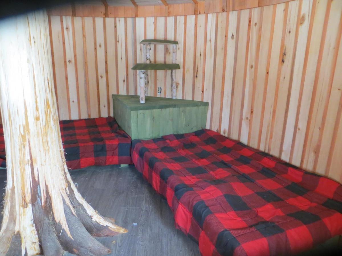 La Maison Sous Les Arbres Saint Roch de Mekinac Esterno foto