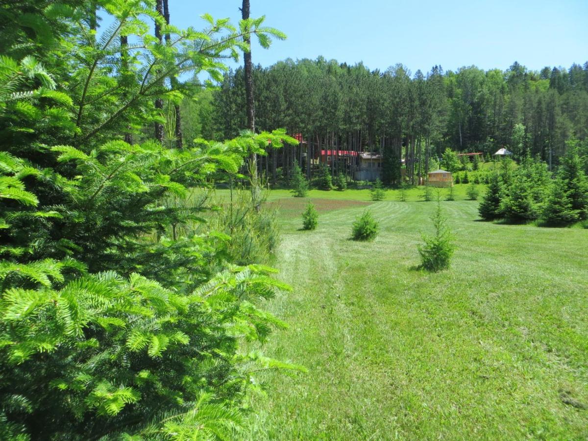 La Maison Sous Les Arbres Saint Roch de Mekinac Esterno foto
