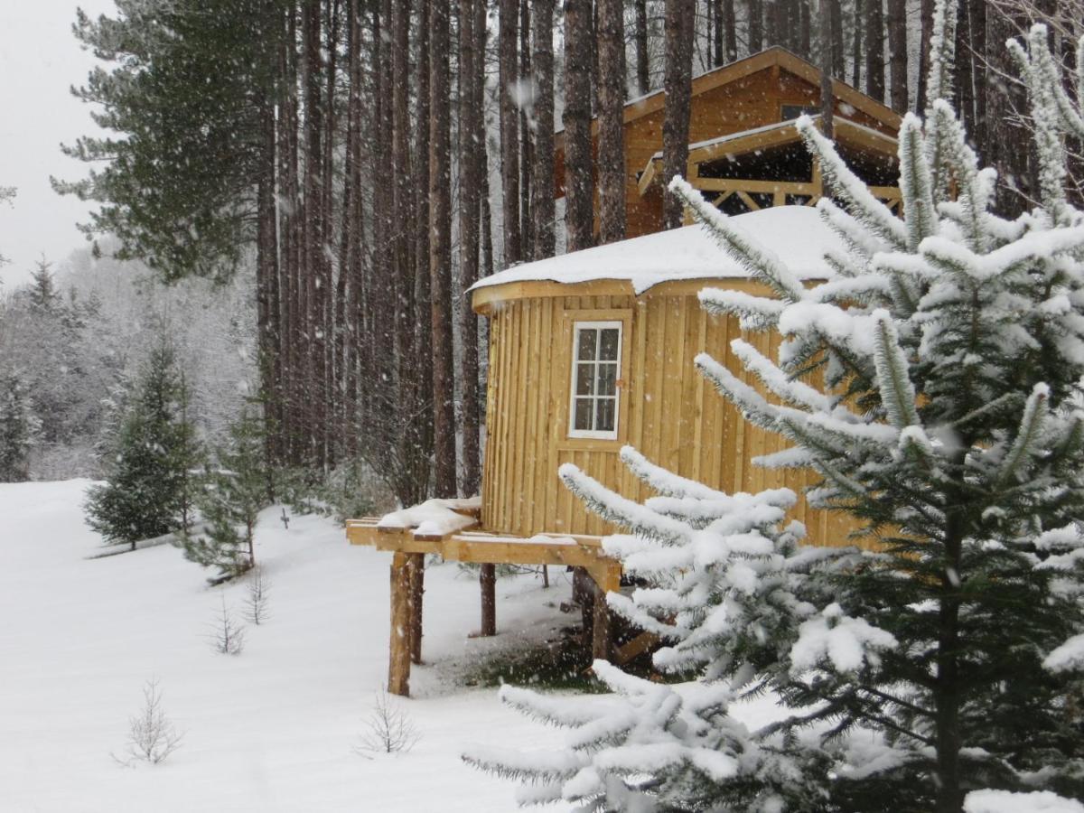 La Maison Sous Les Arbres Saint Roch de Mekinac Esterno foto